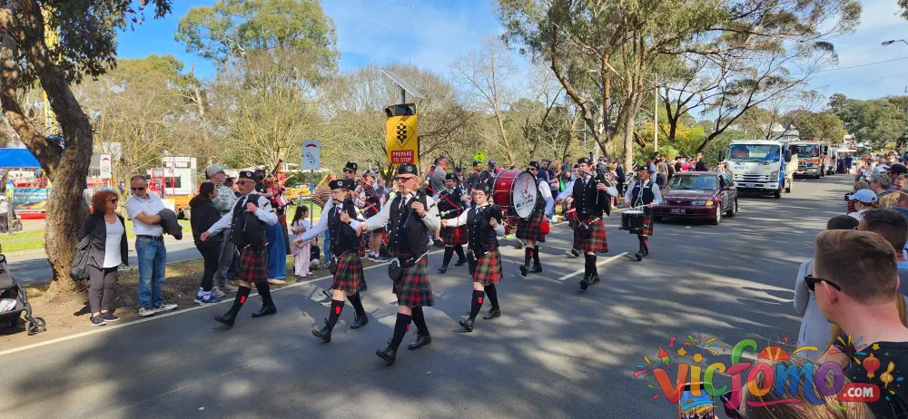 Diamond  Creek  Rotary  Town  Fair  Parade  Bagpipes  Drummers